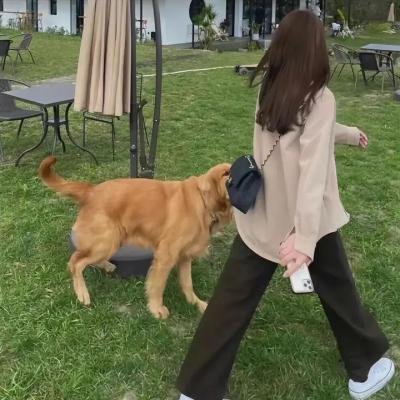 骗子的故事